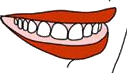 Зубы мелкие - узкие и короткие, направлены внутрь